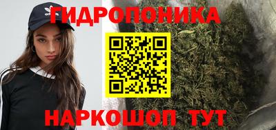 молекула духа Гуково