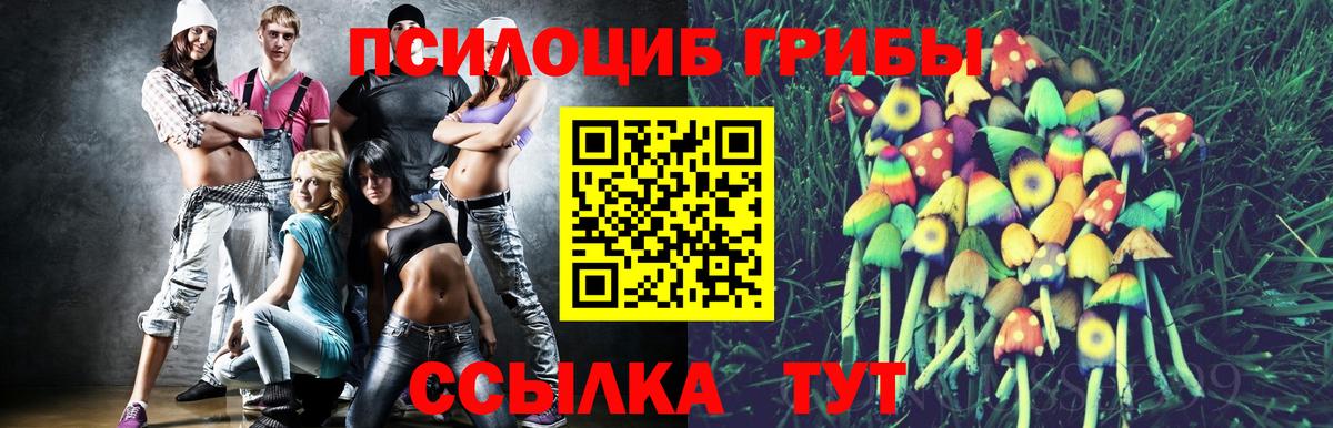 что такое наркотик  Псилоцибиновые грибы Cubensis  Вход с VPN  Калач-на-Дону 