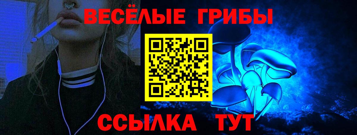 Псилоцибиновые грибы мицелий Калач-на-Дону